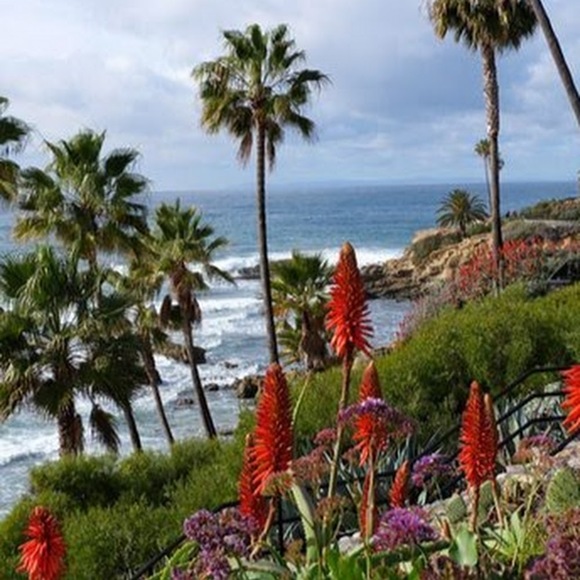 Meet your Posher, Kyra - Picture 1 of 1